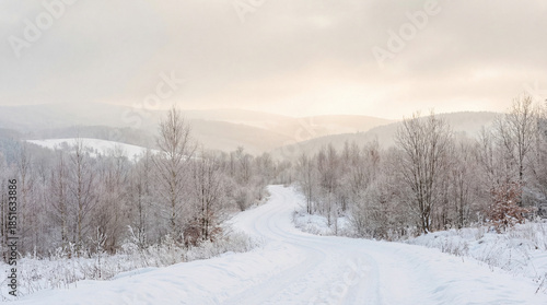 Wallpaper Mural Serene Winter Landscape with Snow-Covered Road Winding Through Frosted Trees and Rolling Hills Under a Softly Lit Overcast Sky at Dawn Torontodigital.ca