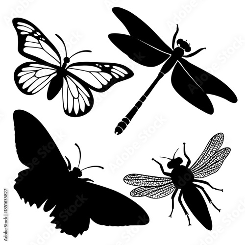 Silhouettes of insects and butterflies