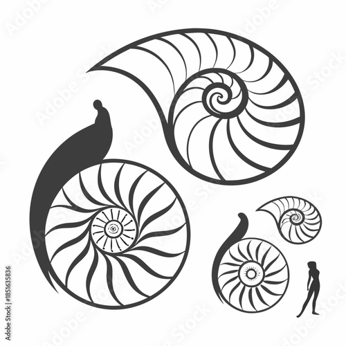 Abstract shell silhouettes