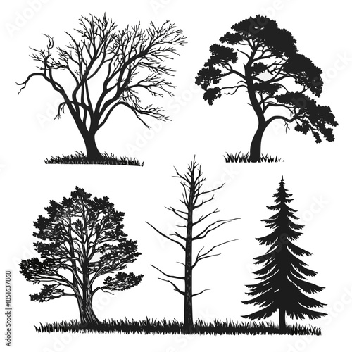 Silhouettes of various trees