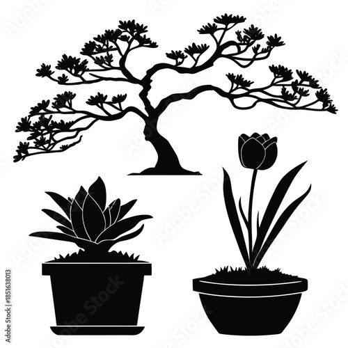 Silhouette of potted plants and tree