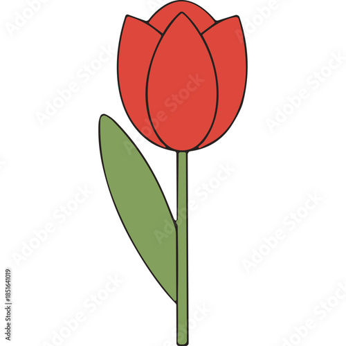 Simple Red Tulip Illustration