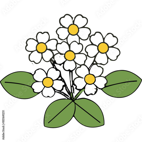 Simple White Daisy Floral Illustration with Green Leaves