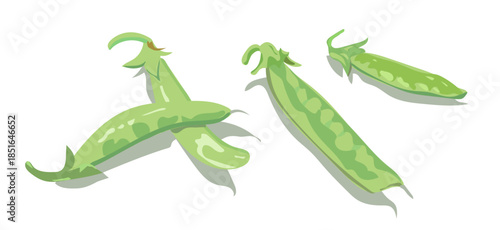 さやえんどうのイラスト/Snow peas, vector  illustration
