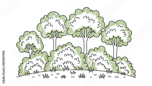Hand Drawn Green Forest Illustration Isolated on White Background