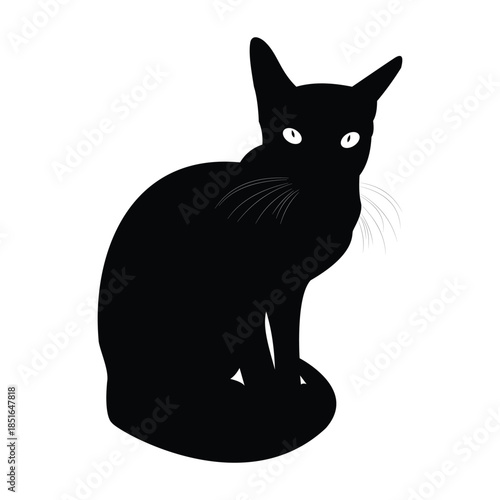 A cute black and white kitten silhouette vector illustration featuring a funny domestic feline sitting with a long tail in a minimalist cartoon art style for pet lovers