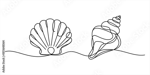 Minimalist line art of a seashell and a conch shell on a wavy line Vector, illustration
