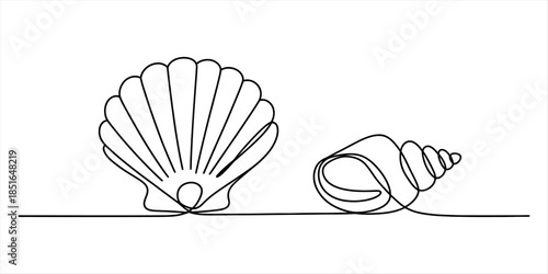 Single line drawing of two seashells on a plain background Vector, illustration