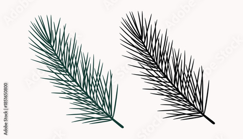 Two Pine Tree Branches Isolated on White Background