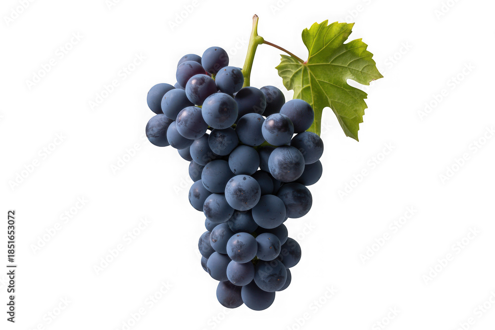 Fototapeta premium Grapes isolated on transparent or white background, png