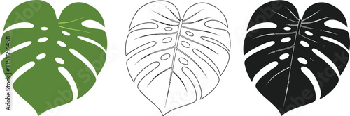 Spice rack with various colorful spices in glass jars is displayed.