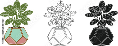 A potted plant is shown in three different styles: colored, line art, and silhouette.