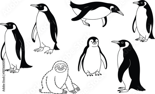 Black and white penguins and a sloth in various poses