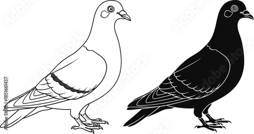 Two pigeons, one outlined and one silhouetted, stand side by side.