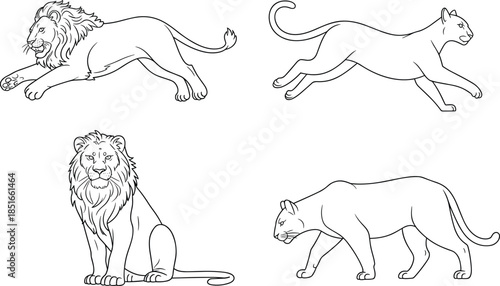 Four Lions and Lionesses in Different Poses Line black and white