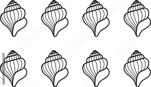 Seven black and white seashell in two rows outline