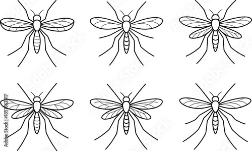 Six black and white mosquito in different poses insects
