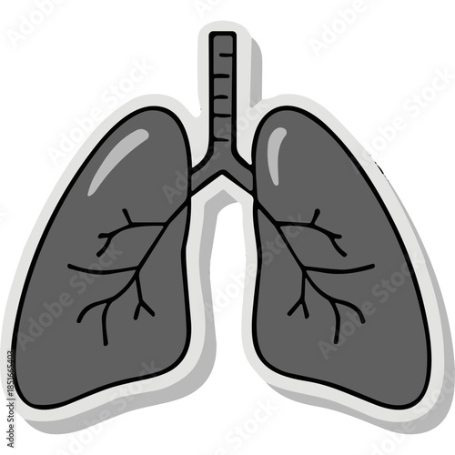 Stylized Lungs Illustration - Respiratory System Anatomy