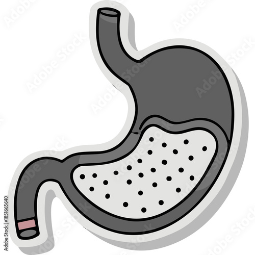 Stylized Illustration of Human Stomach with Digested Contents