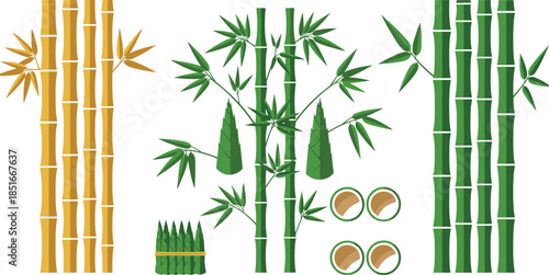 Green and Yellow Bamboo Stems with Leaves and Shoots Vector Illustration Set for Zen Design Asian Nature Background and Decoration