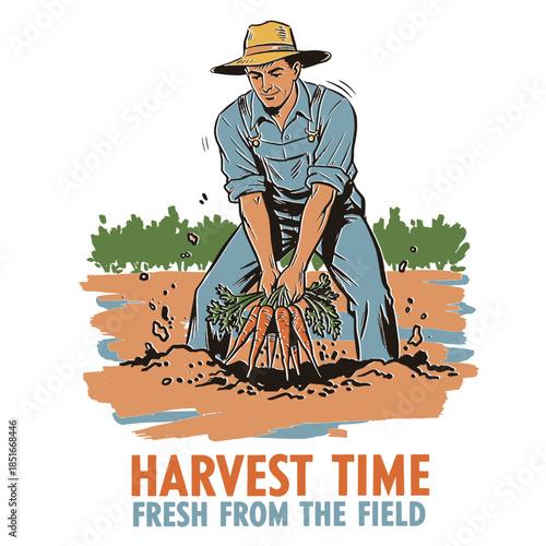 Farmer harvesting carrots, vintage illustration, harvest time fresh from the field, retro drawing, rural agriculture concept, organic vegetables, healthy food, retro print design