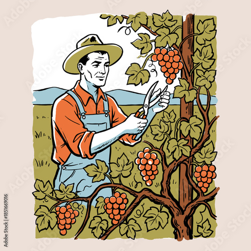Vintner grape harvest illustration, retro farmer worker vineyard labor vintage art, wine cultivation, agriculture, pruning shears, food and drink design