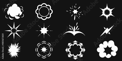 Collection of abstract white floral and starburst explosion graphic elements on black