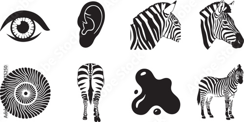 Animal and body part zebra