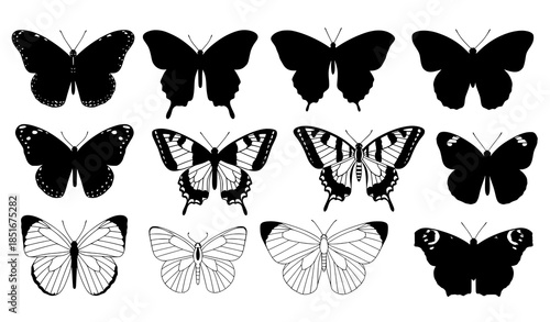 Butterfly vector set with different colorful butterfly species isolated on white background