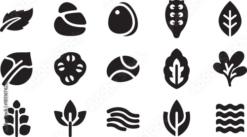 Minimalist plant leaf icons set in black and white