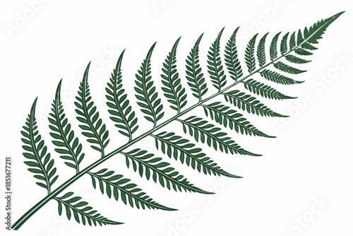 Fern Leaf Botanical Illustration  Flat Vector  Pur (1) Vector Illustration