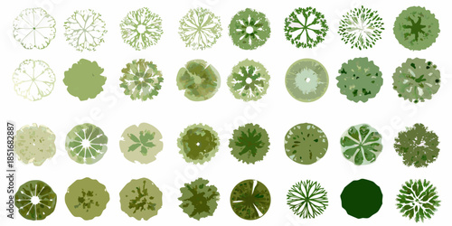A collection of various green tree top views in a grid arrangement