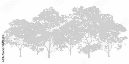 A grayscale silhouette of several trees forming a forest canopy