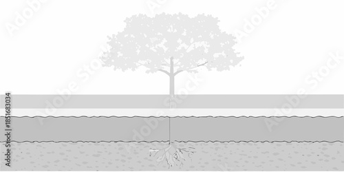 A solitary tree with visible roots and a landscape background