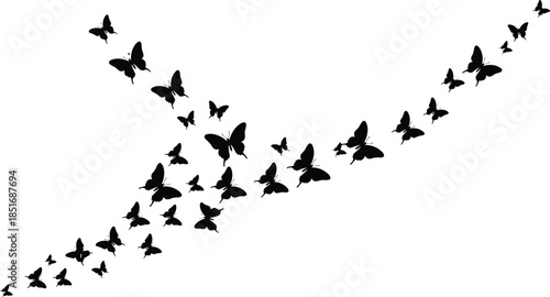 Butterfly formation diagonal flight, silhouetted butterflies in converging motion, varying sizes creating depth and rhythm, elegant insect pattern for design