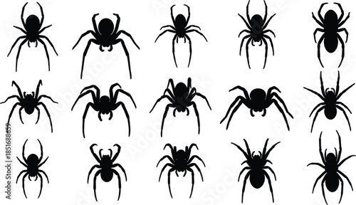 Assortment of Black Spider Silhouettes with Varied Poses and Leg Spreads icon collection