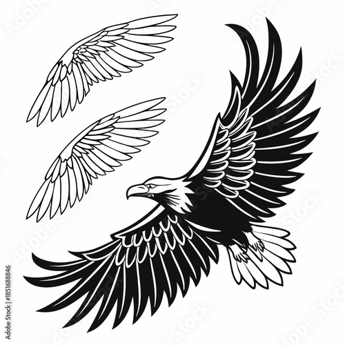 Eagle wings illustration