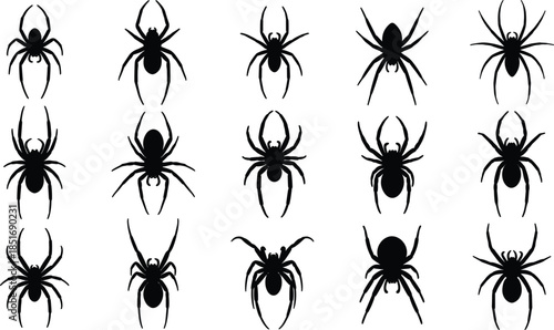 Collection of Fifteen Black Spider Silhouettes in Diverse Poses icon