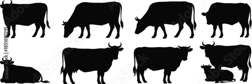 Cow Silhouettes in Various Poses on White Background Keywords: cow, cattle, silhouette, animal, farm, livestock, mammal, bovine
