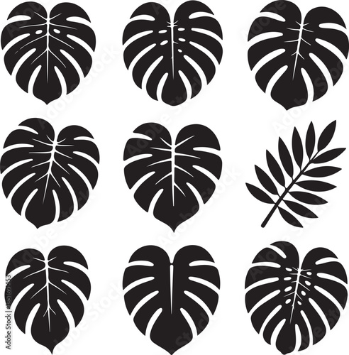 Collection of tropical monstera leaf illustrations isolated on transparent background