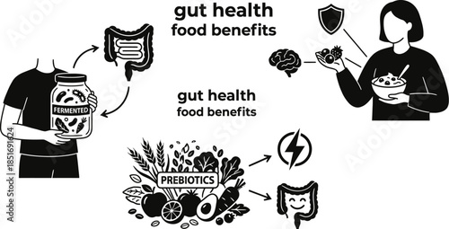 Gut Health Food Benefits Vector Illustration