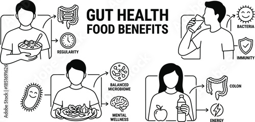 Gut Health Food Benefits Vector Illustration
