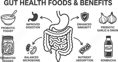 Gut Health Food Benefits Vector Illustration