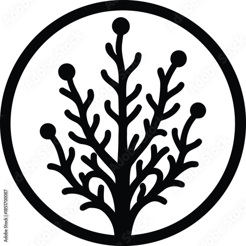 Microscopic Algae Silhouette Vector Art Illustration