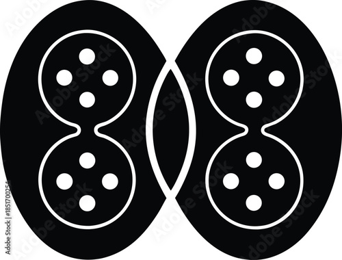 Binary Fission Silhouette Vector Art Illustration