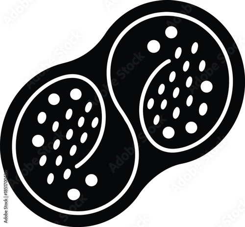 Cell Division Silhouette Vector Art Illustration