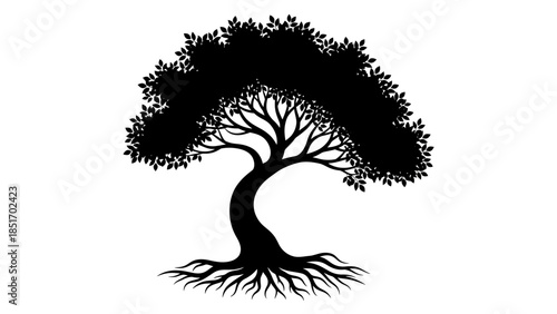 Silhouette of a mature tree with prominent roots and a dense canopy, symbolizing growth and nature