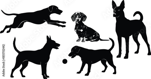 Black dog silhouettes set, running jumping playing sitting standing poses, domestic pets graphics, canine silhouettes collection, isolated animal outlines, puppy play ball vector
