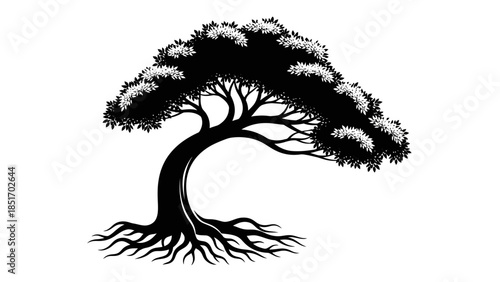 Stylized Silhouette of a Mature Bonsai Tree with Elaborate Root System on a White Background