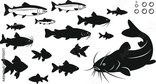 Collection of freshwater fish silhouettes including catfish, trout, and goldfish with bubbles, aquatic wildlife vector icons isolated on a clean white background.